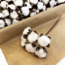 6 White Fuzzy Cotton Bolls for Crafts ~ 7/8" across